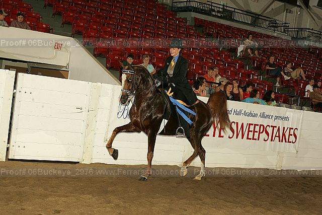 Proof 06buckeye_2976