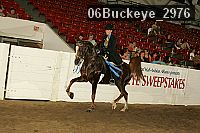06buckeye_2976 proof
