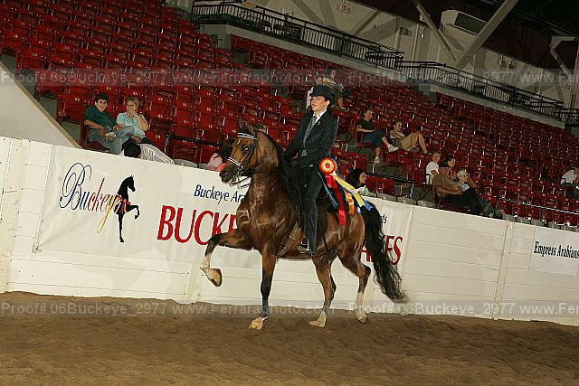 Proof 06buckeye_2977