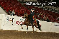 06buckeye_2977 proof