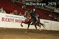 06buckeye_2978 proof