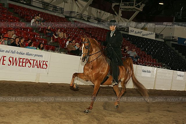 Proof 06buckeye_2980