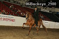 06buckeye_2980 proof