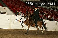 06buckeye_2981 proof