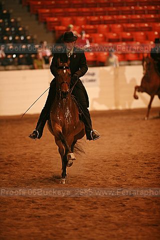 Proof 06buckeye_2985