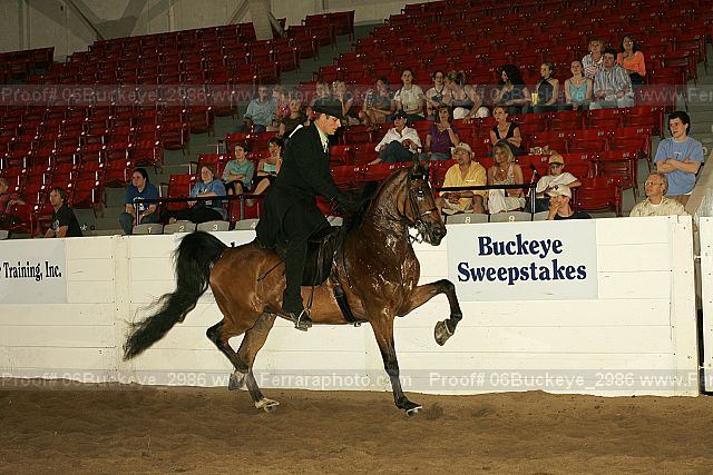 Proof 06buckeye_2986