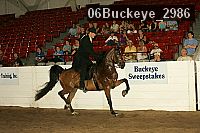 06buckeye_2986 proof