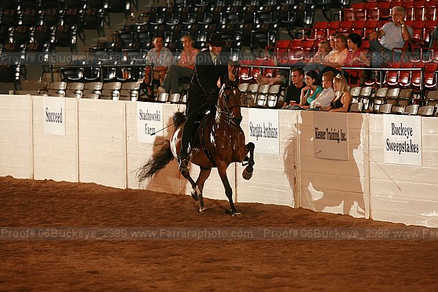 Proof 06buckeye_2989