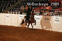 06buckeye_2989 proof