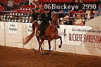 06buckeye_2990 proof