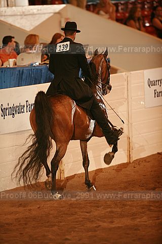 Proof 06buckeye_2991