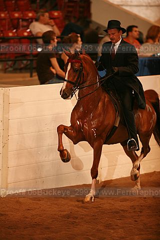 Proof 06buckeye_2993