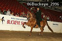 06buckeye_2996 proof