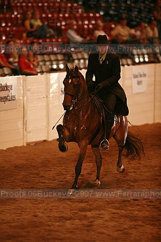 Proof 06buckeye_2997