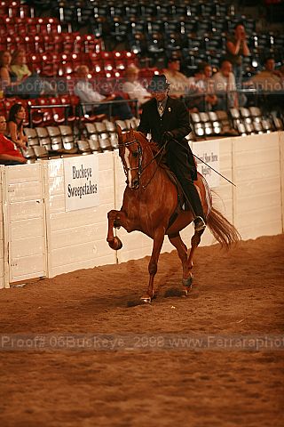 Proof 06buckeye_2998