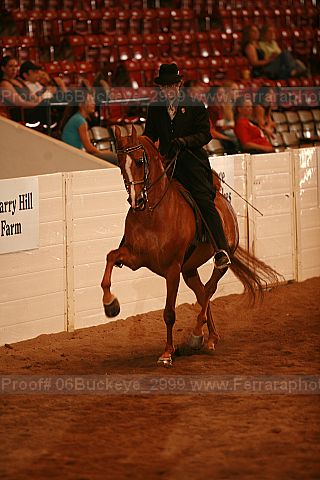 Proof 06buckeye_2999