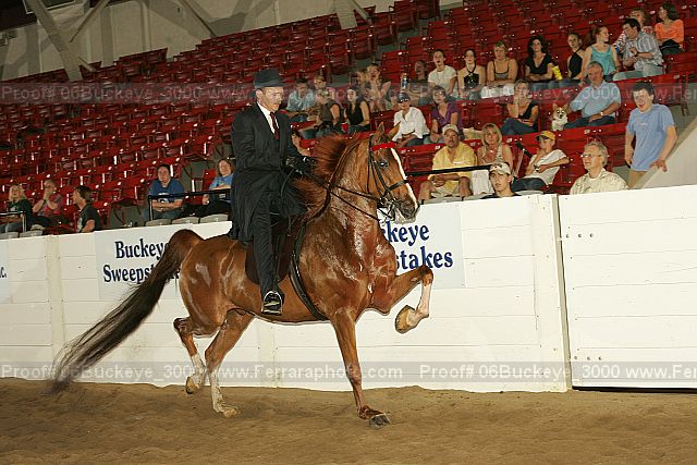 Proof 06buckeye_3000