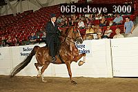 06buckeye_3000 proof