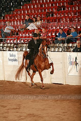 Proof 06buckeye_3002
