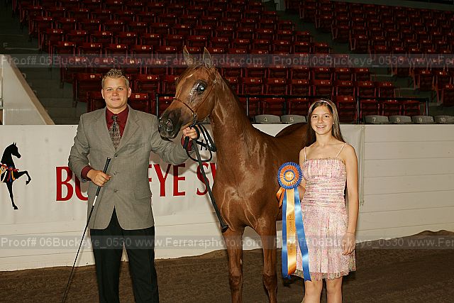Proof 06buckeye_0530