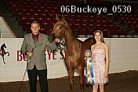 06buckeye_0530 proof