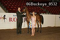 06buckeye_0532 proof