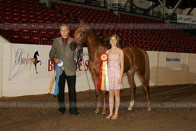 Proof 06buckeye_0533