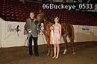 06buckeye_0533 proof