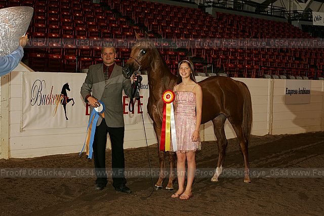 Proof 06buckeye_0534