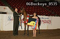 06buckeye_0535 proof