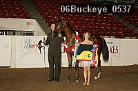 06buckeye_0537 proof