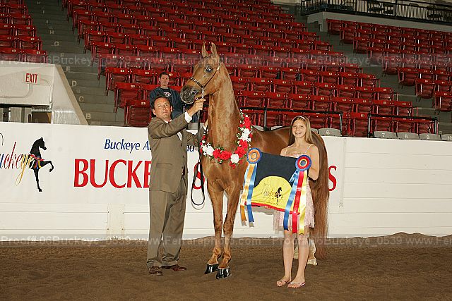 Proof 06buckeye_0539