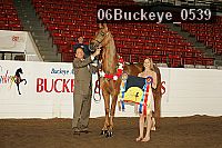 06buckeye_0539 proof