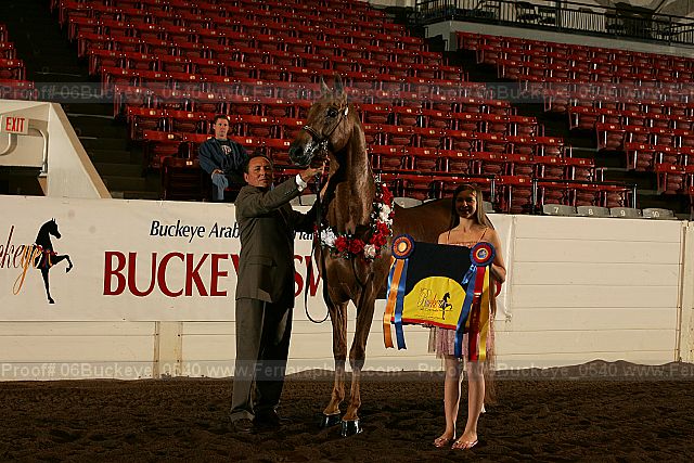 Proof 06buckeye_0540