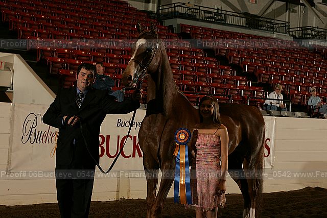 Proof 06buckeye_0542