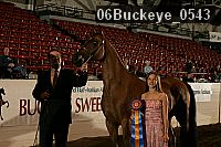 06buckeye_0543 proof