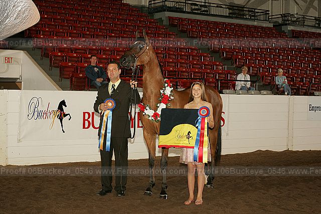 Proof 06buckeye_0546