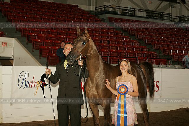 Proof 06buckeye_0547