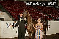 06buckeye_0547 proof