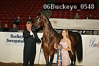 06buckeye_0548 proof