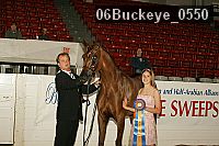 06buckeye_0550 proof