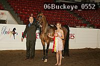 06buckeye_0552 proof
