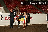 06buckeye_0553 proof