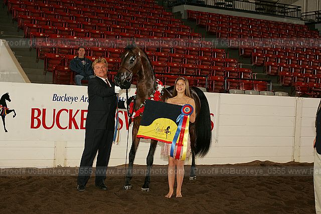 Proof 06buckeye_0555