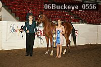 06buckeye_0556 proof
