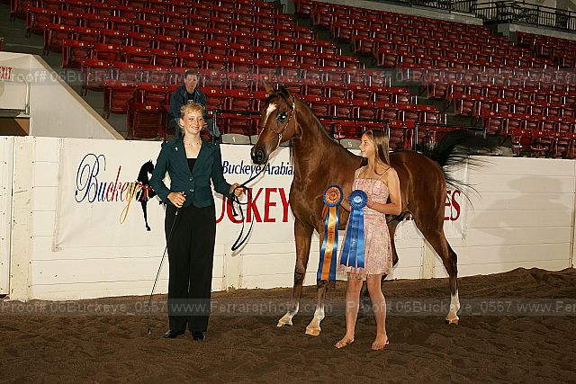 Proof 06buckeye_0557