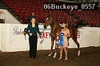 06buckeye_0557 proof