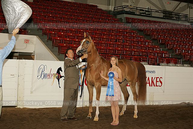 Proof 06buckeye_0558