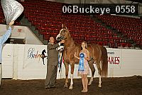 06buckeye_0558 proof