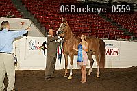 06buckeye_0559 proof